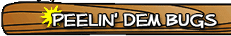 header_wood